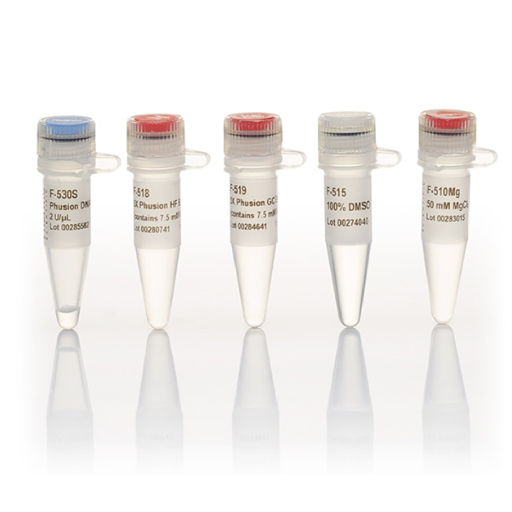 Phusion™ High-Fidelity DNA Polymerase (2 U/μL) #F530S